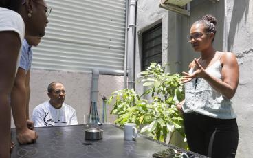 Saint-Denis/Réunion Solifap