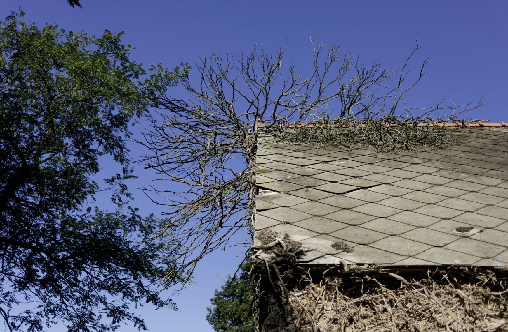 Photo : L’habitat social en Bretagne : la Fondation inquiète