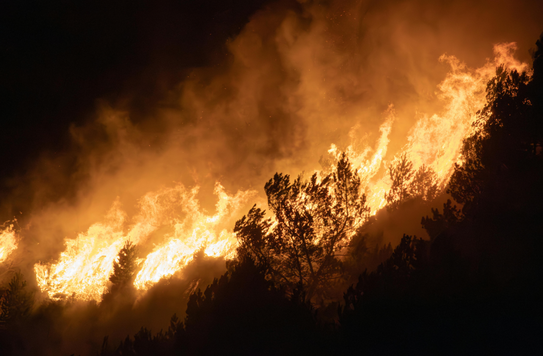 Photo : Face aux feux de forêts et aux situations dramatiques,   La Fondation pour le Logement est mobilisée pour les sinistrés.