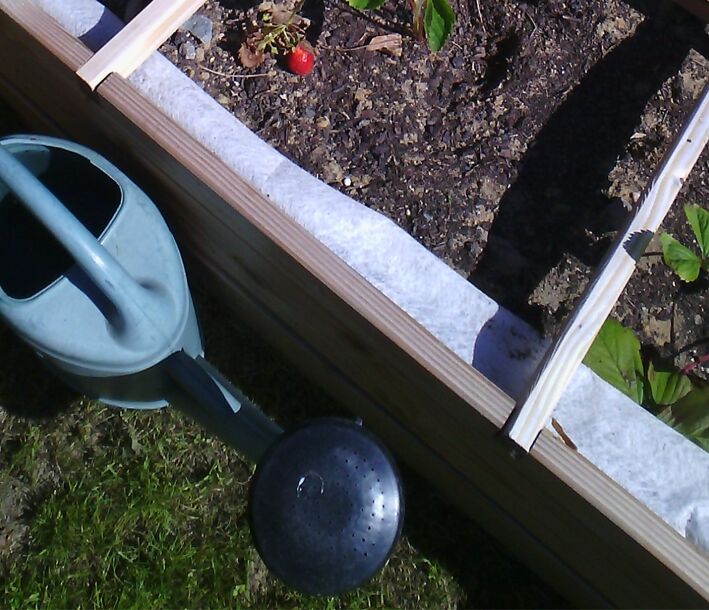 Photo : Un jardin partagé pour créer du lien et vivre ensemble.