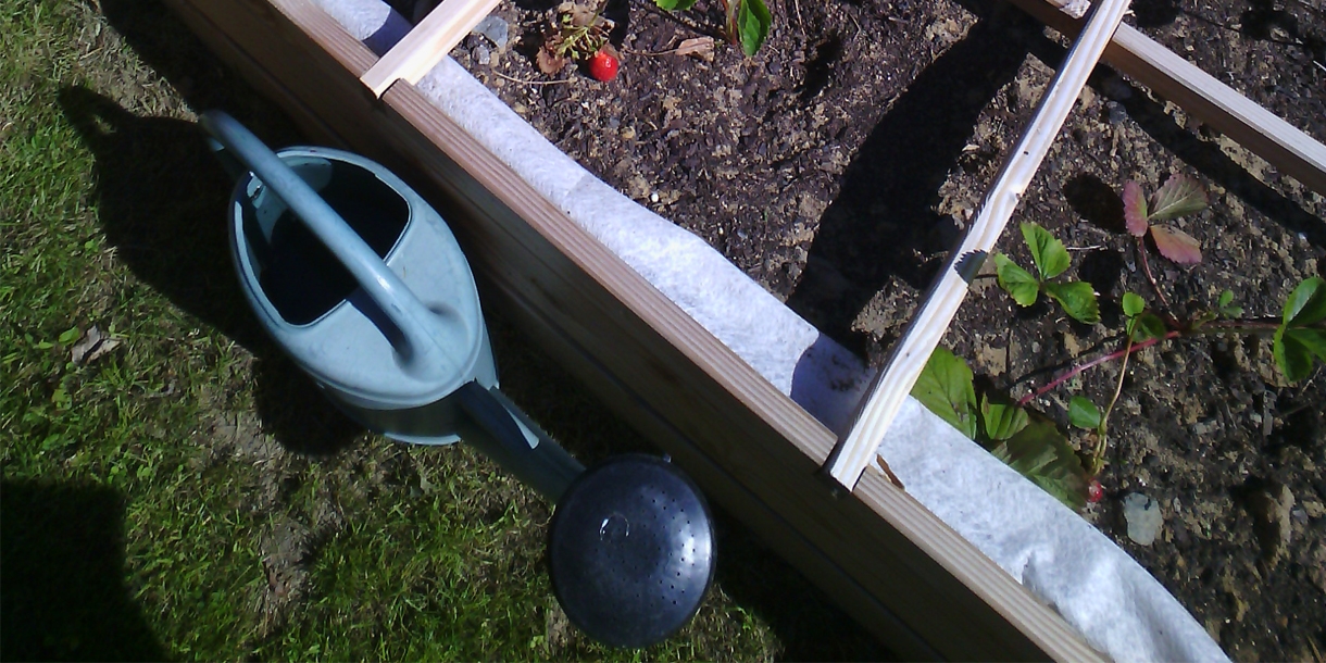 Photo : Un jardin partagé pour créer du lien et vivre ensemble.