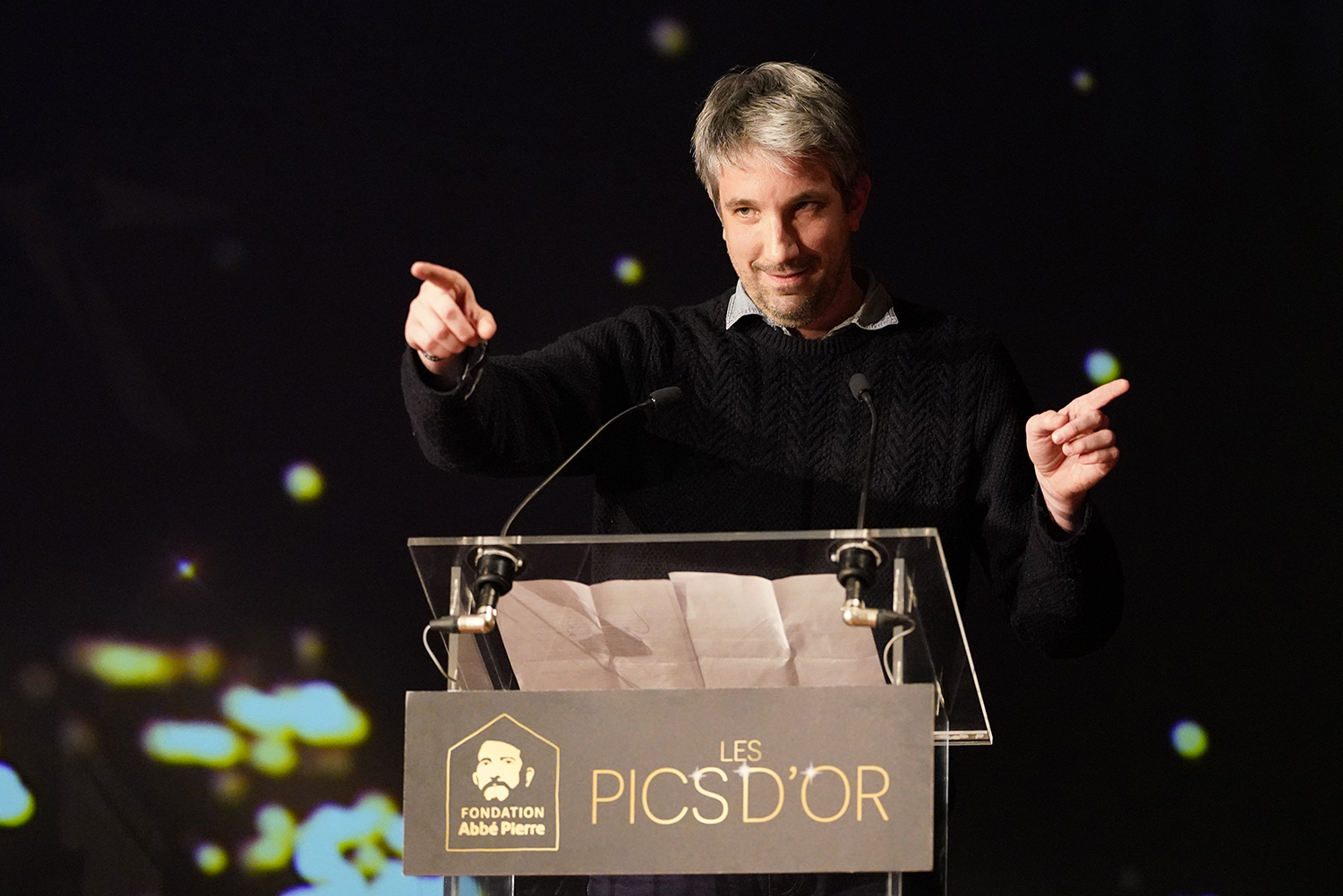 Photo : LES PICS D’OR #2 : le palmarès de la cérémonie 2020.