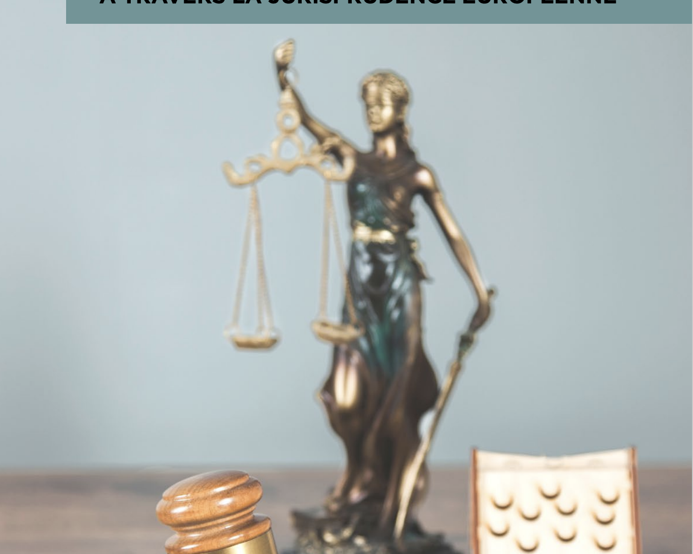 Photo : Obligations faites aux Etats en matière de droit du logement à travers la jurisprudence européenne