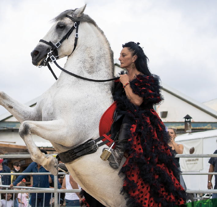 Photo : Mosaïque Gipsy Bohème :  2e édition d’un festival inédit