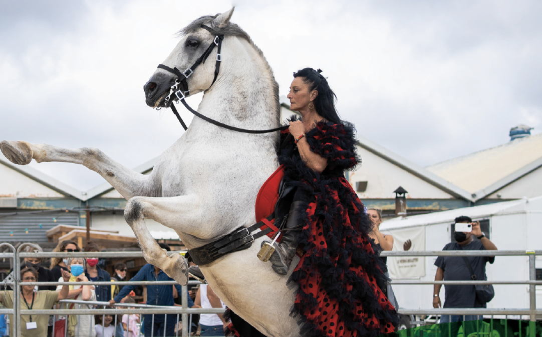 Photo : Mosaïque Gipsy Bohème :  2e édition d’un festival inédit
