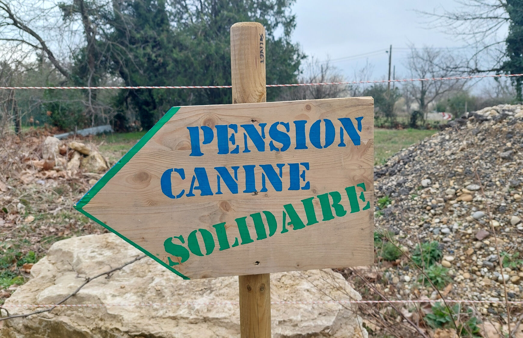 Photo : « Solivet », première pension canine solidaire